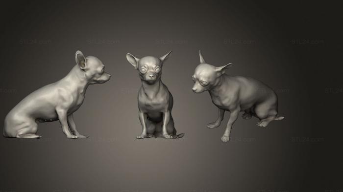 Animal figurines (Dog1, STKJ_2123) 3D models for cnc